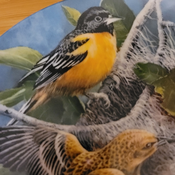 ENCYCLOPEDIA BRITANNICA "BIRDS IN YOUR GARDEN" COLLECTORS PLATE 12650C LIMITED - Picture 4 of 11